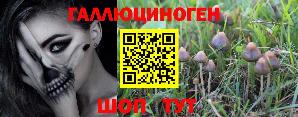 Галлюциногенные грибы GOLDEN TEACHER  Вход с VPN  Астрахань 