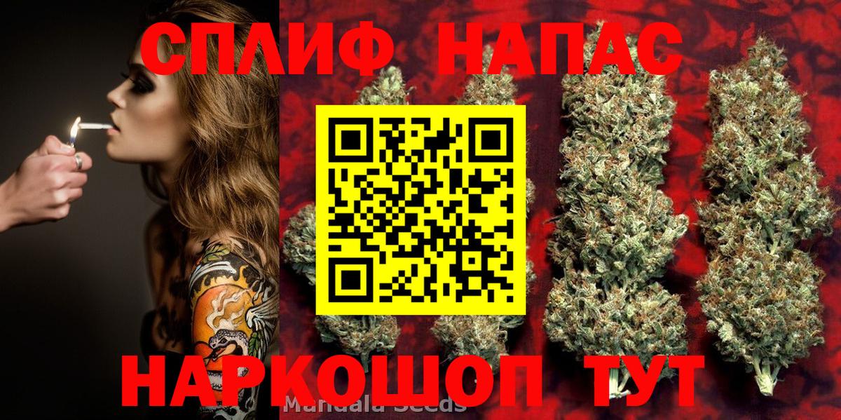 Каннабис гибрид Астрахань